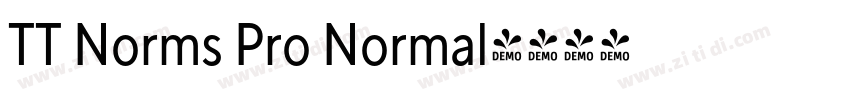 TT Norms Pro Normal字体转换